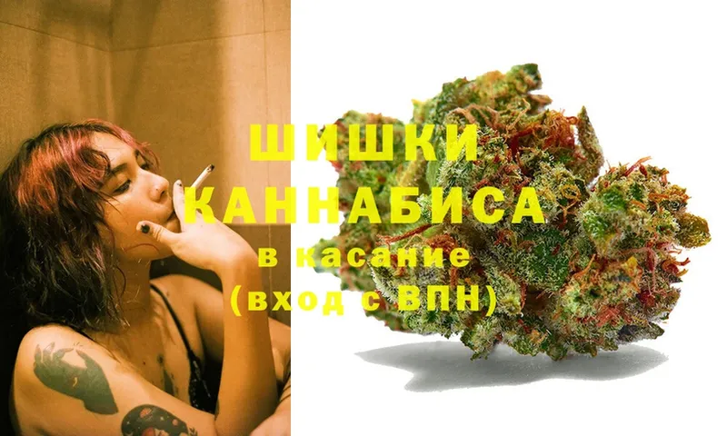 Бошки марихуана THC 21%  наркотики  Баксан 